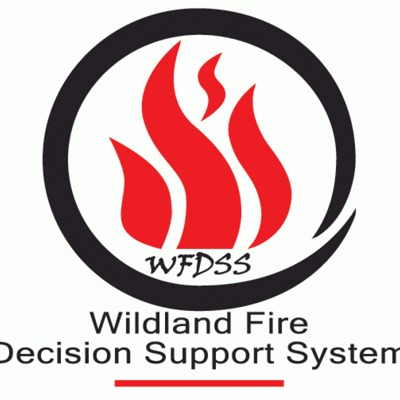 wfdss logo